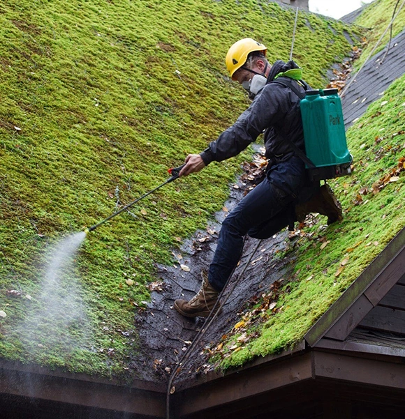 How We Deliver Quality Roof Cleaning?