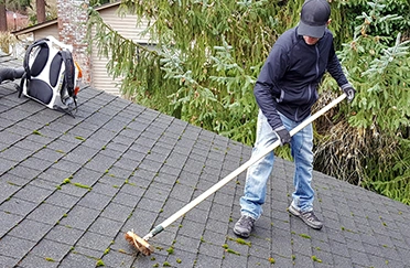 Roof Cleaning 372 x 243 - Gomez Roofing California | Hire Us